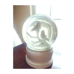 Pair of snow owls 🦉 water globe